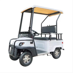 Гольфкар GreenCamel A2 ECO (2 seats 800W R8)