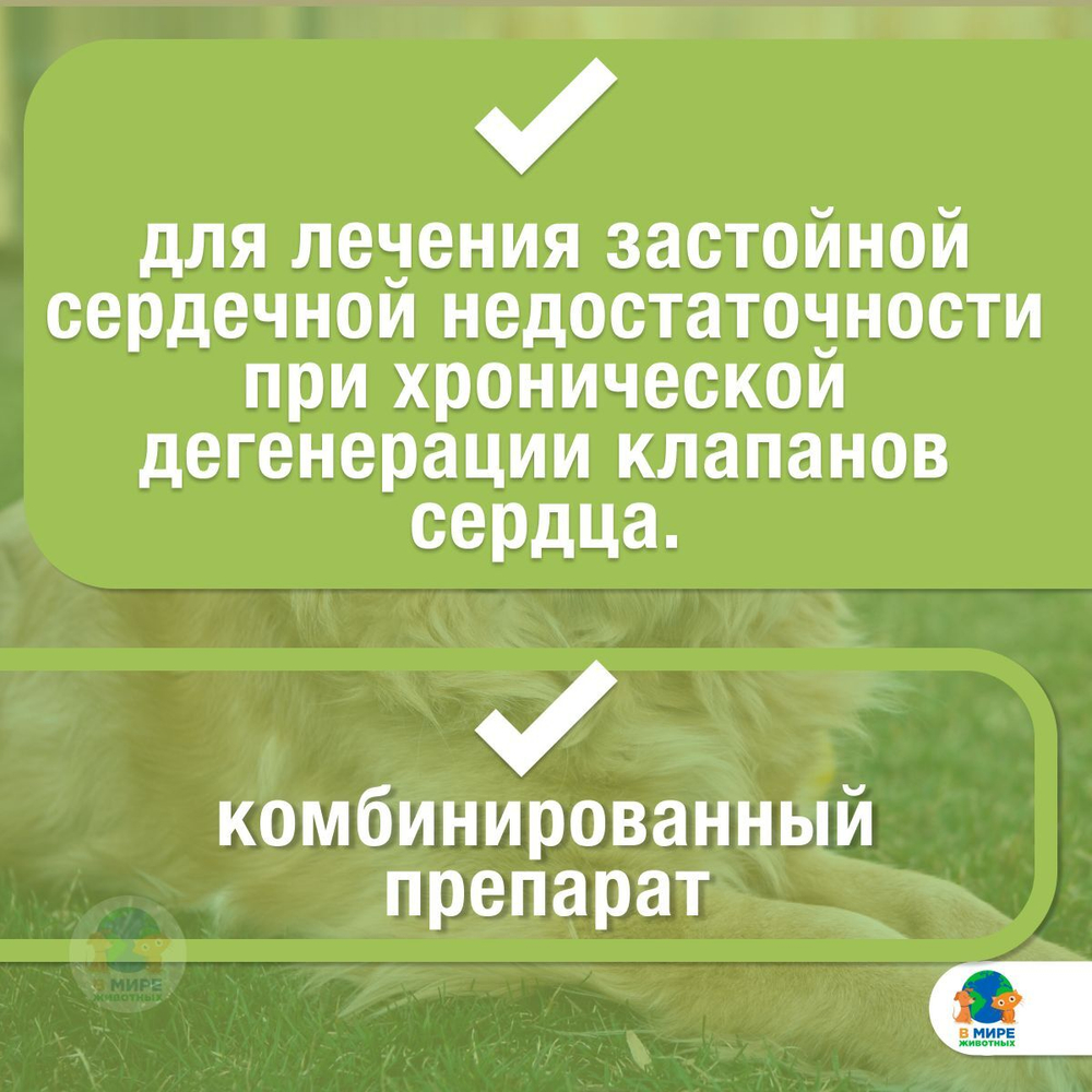 Кардалис 10 мг/80 м Ceva, таблетки для лечения общей сердечной недостаточности, для собак, 30шт. Беназеприл.