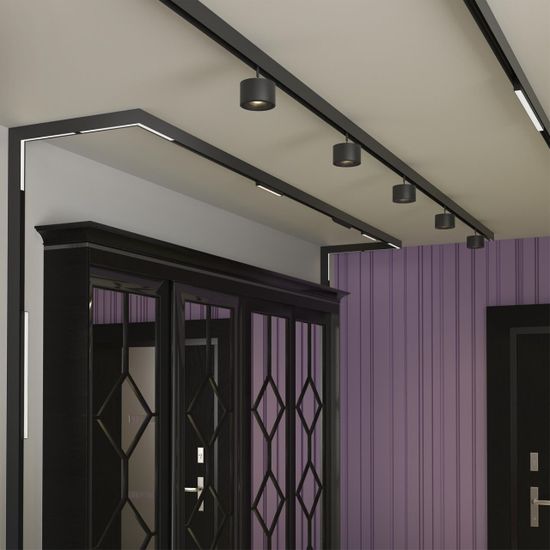 358915 SHINO NT22 067 черный Трековый светильник для низков.шинопровода диммируемый с пультом ДУ со сменой цв.температуры IP20 LED 3000~6500К 24W 48V