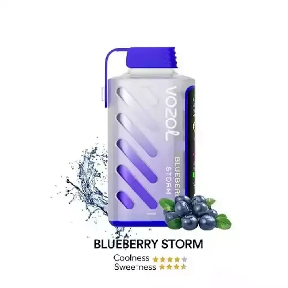 Vozol Gear Power 20000 - Blueberry Storm (5% nic)