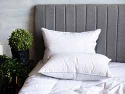 Подушка пуховая 50x68 German Grass Gray Familie Down мягкая