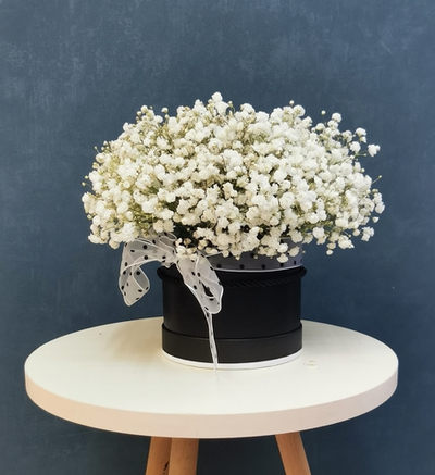 Коробочка белых гипсофил