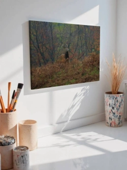 Картина на стену 40 X 50 Олень