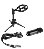 Микрофон Ritmix RDM-160 +USB адаптер