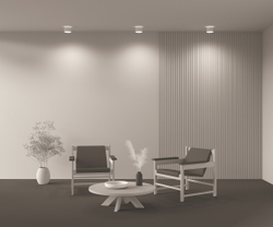 Потолочный светильник Technical C009CW-L16W