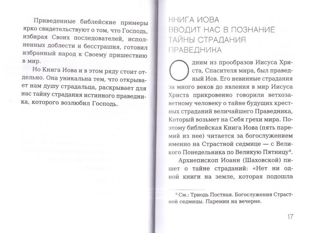 Размышление над Книгой Иова для современного человека. О промысле Божием и спасительных страданиях. Архимандрит Иов (Гумеров)