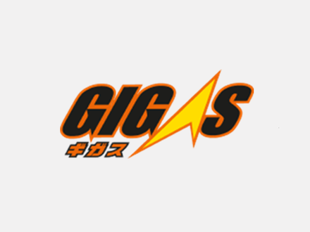 Масло GIGAS