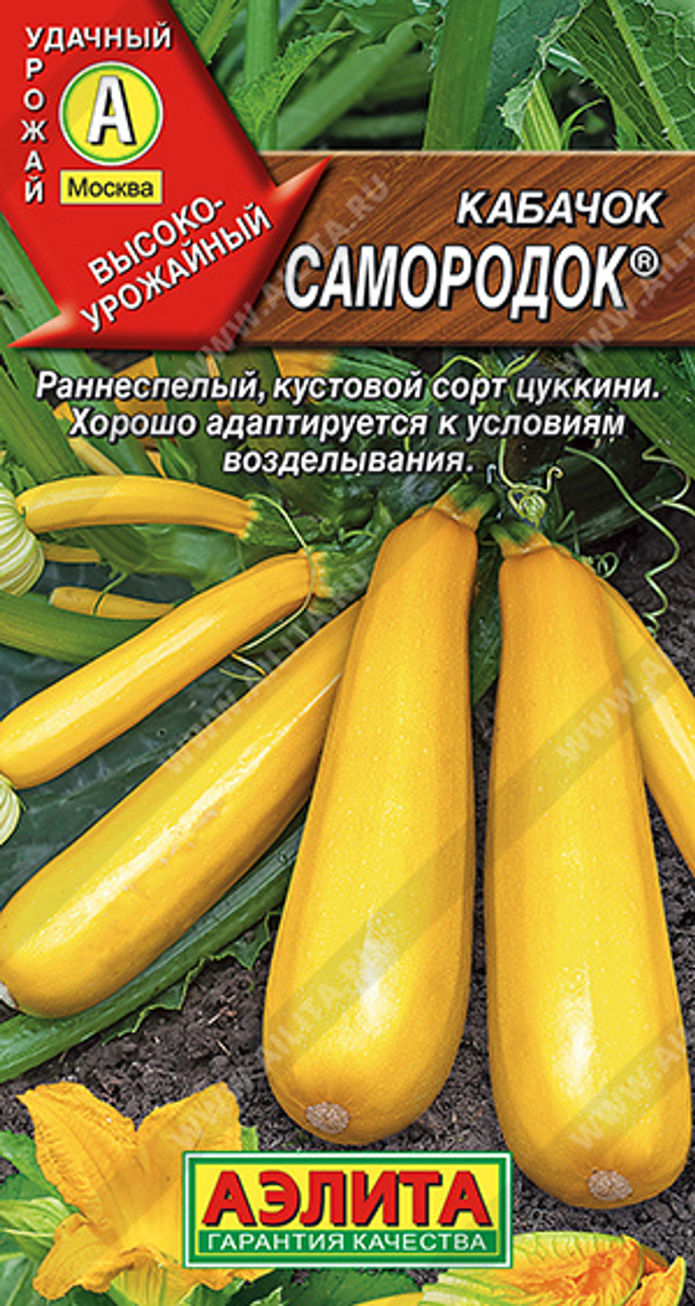 Кабачок Самородок