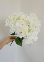 Гортензия 5 голов / Арт 2279