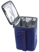 Термосумка 154