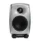 Genelec 8010ARw Unpainted Aluminum