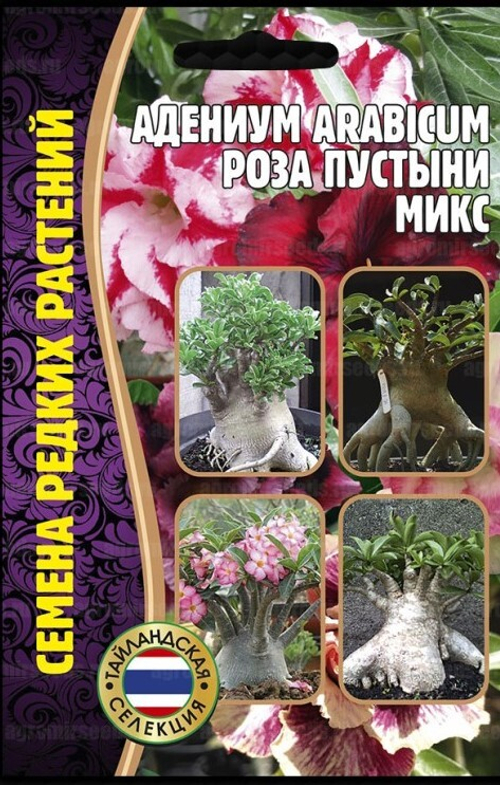 Адениум Роза пустыни микс