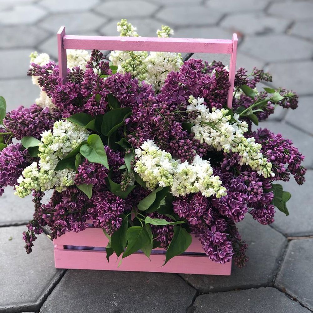 Корзина фруктов "Теплый привет"