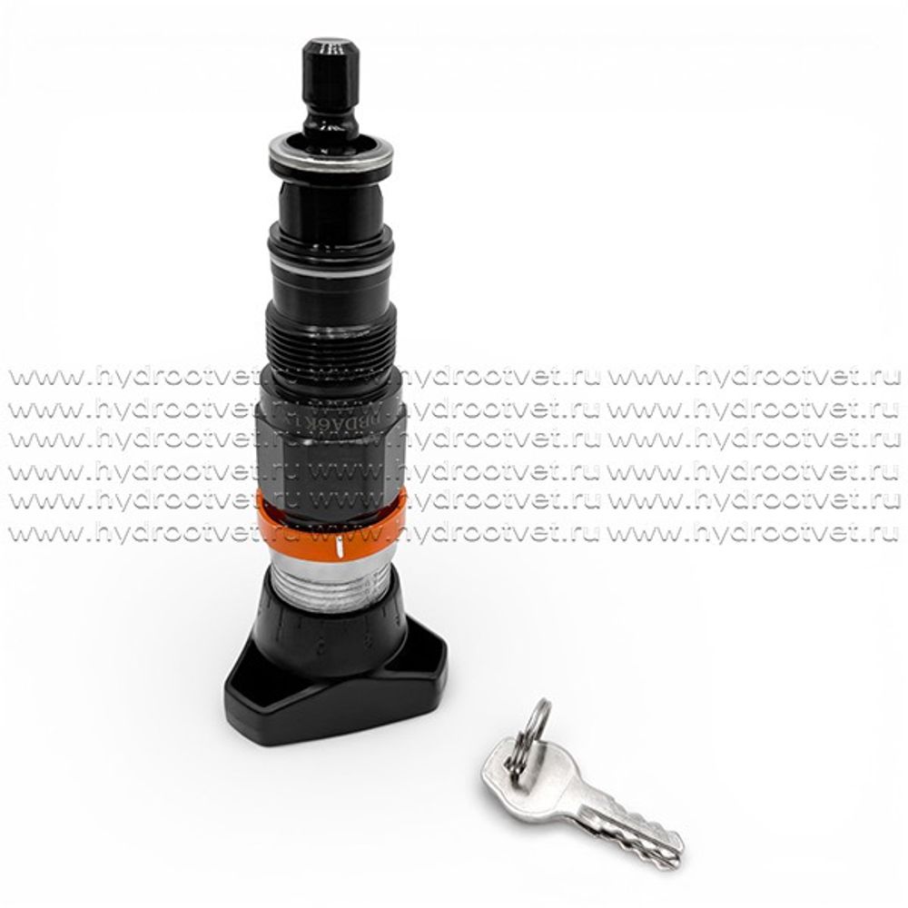 DBDA6K1X/200 - Предохранительный клапан прямого управления Ду6, давление регулировки до 200 бар, тип монтажа - встраиваемый, элемент регулировки A = рукоятка с ключом