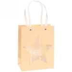 Пакет подарочный «Звёздные мечты» 23*18*10 см