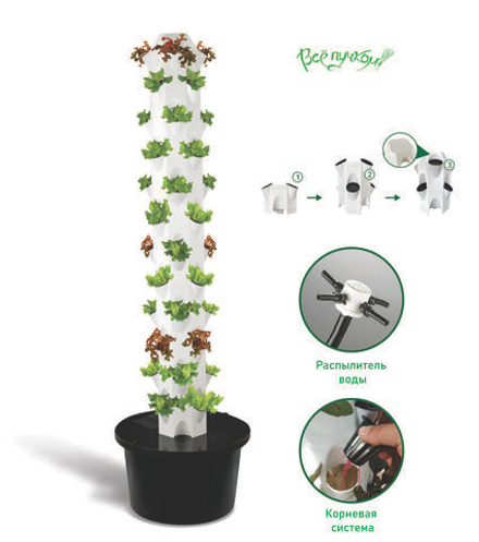 Гидропоника