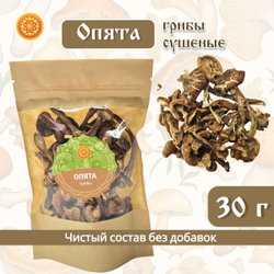 Грибы сушеные опята.