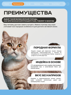 Корм сухой для кошек породы Британская короткошерстная, с индейкой, 5 кг, QUATTRO