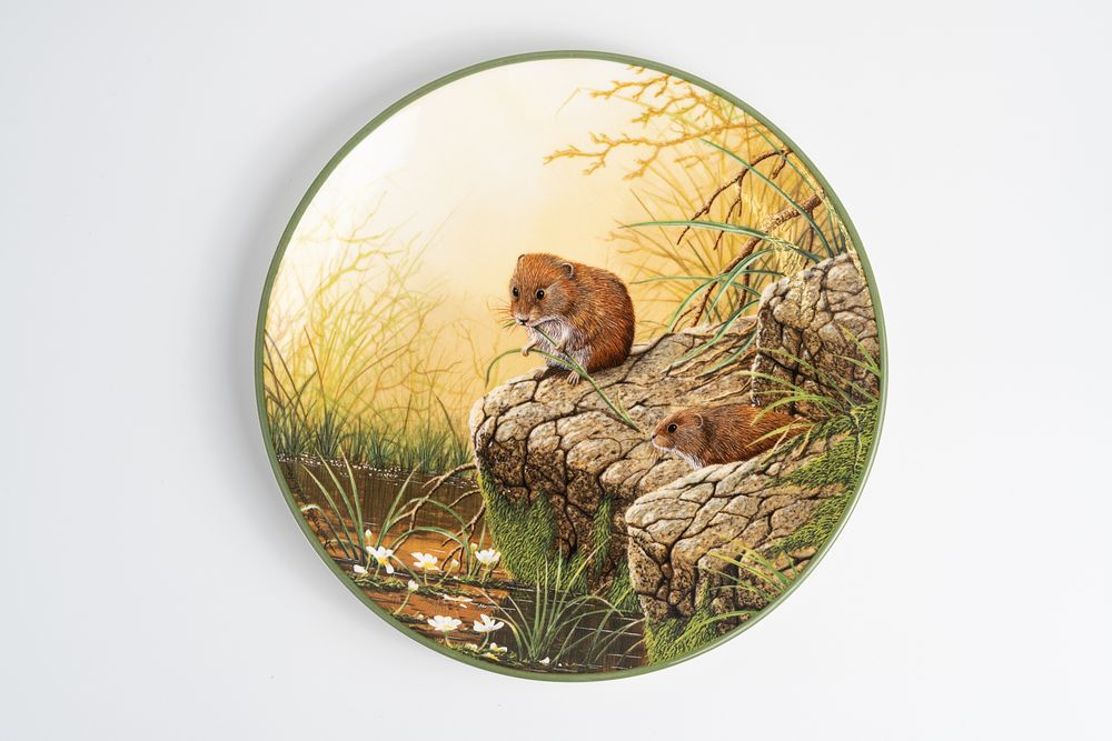 Декоративная коллекционная тарелка «Береговые мыши-полевки» из серии «Портреты природы Джеффа Роллинсона» («Rollinson's Portraits of Nature»)