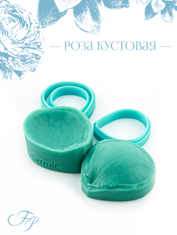 Роза кустовая