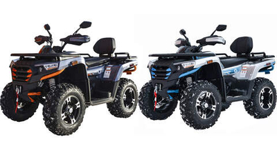 Квадроцикл Motoland 300 MAX X (с ПСМ)