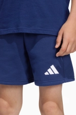 Шорты adidas Entrada 26 Sweat Junior - темно-синий