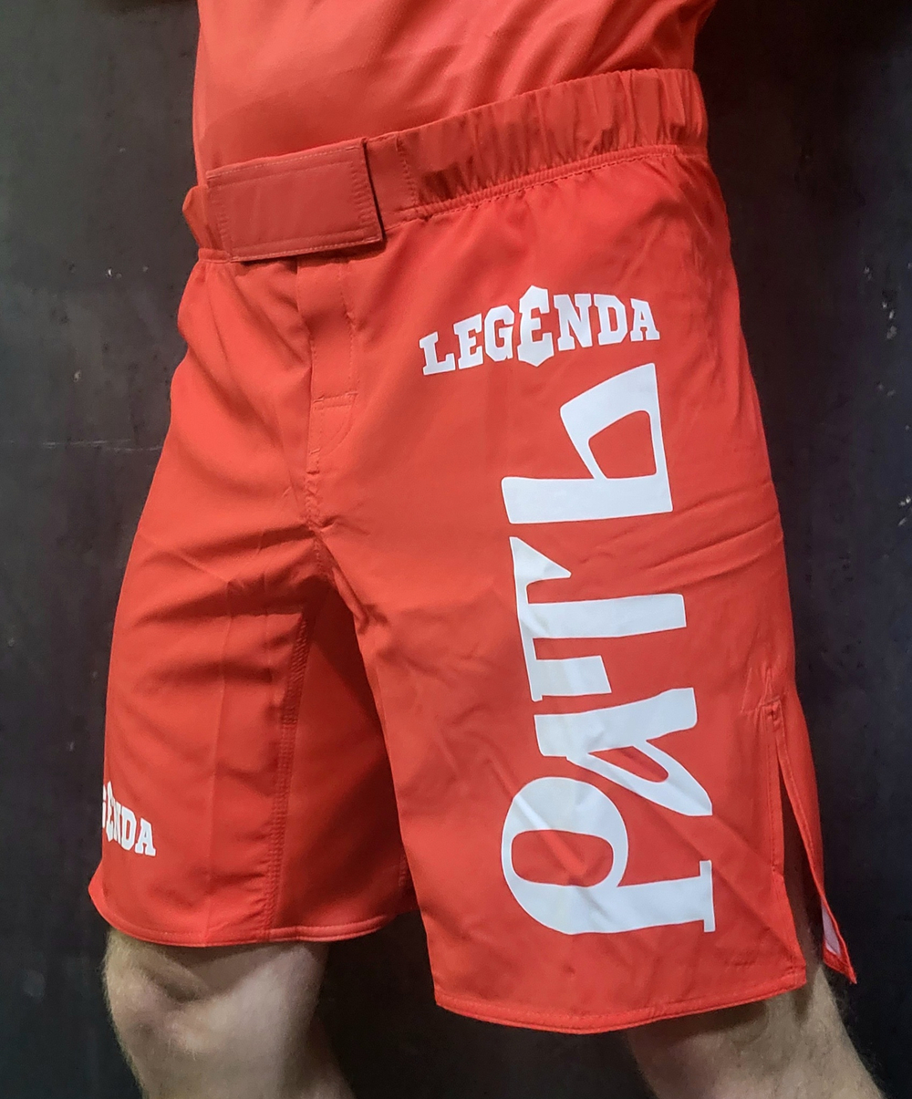 Шорты спортивные ММА Legenda Рать, красные