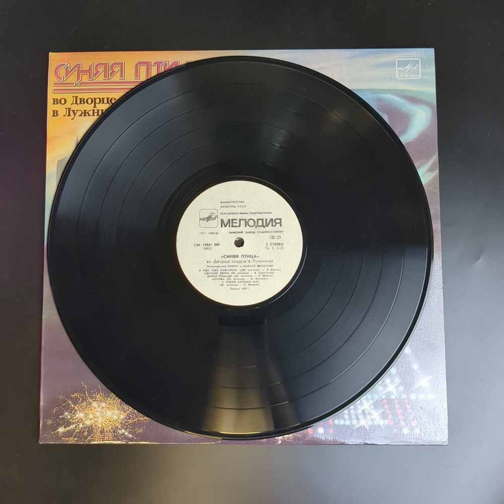 LP ВИА Синяя птица - Белый теплоход. Во дворце спорта в Лужниках. Виниловая пластинка 12 дюймов. Мелодия СССР 1983 год