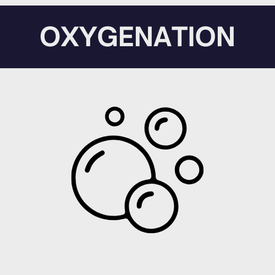 Оксигенация