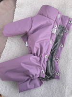 Демисезонный комбинезон с длинными лапами (девочка)