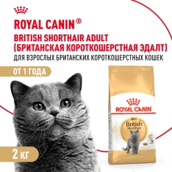 Royal canin british shorthair adult для британских короткошерстных кошек старше 12 месяцев - 2 кг