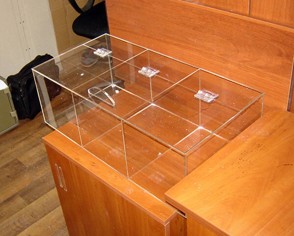 Конфетница для мармеладов конфет орехов 600х300х200-3 ячееки с крышкой