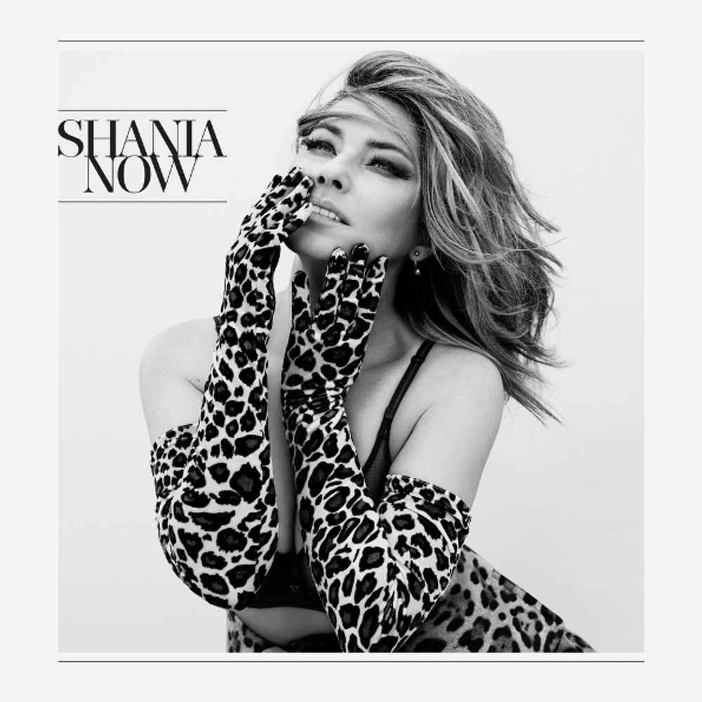 Shania Twain / Now (Deluxe Edition)(CD)