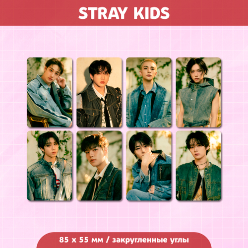 Сет карточек / STRAY KIDS #249