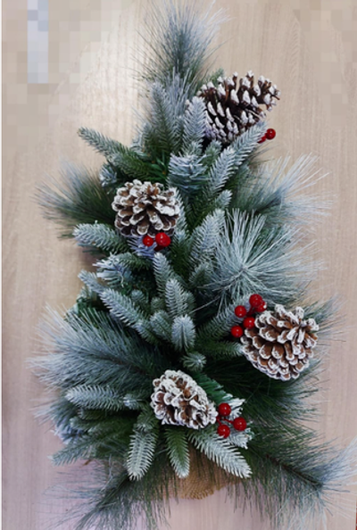 Сосна настенная комбинированная 60см