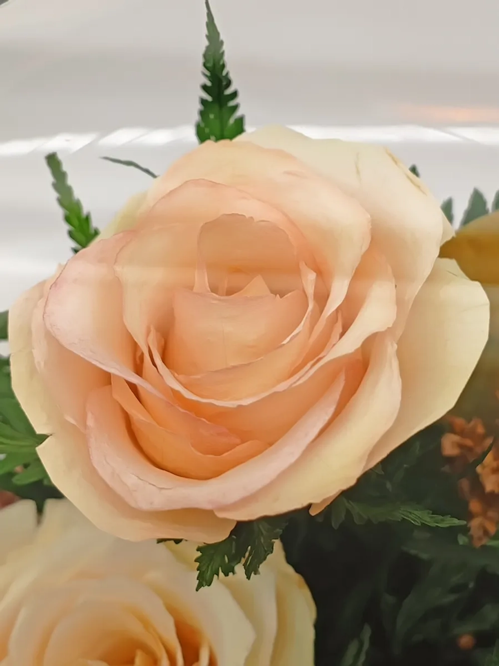 натуральные розы в стекле, вакуум