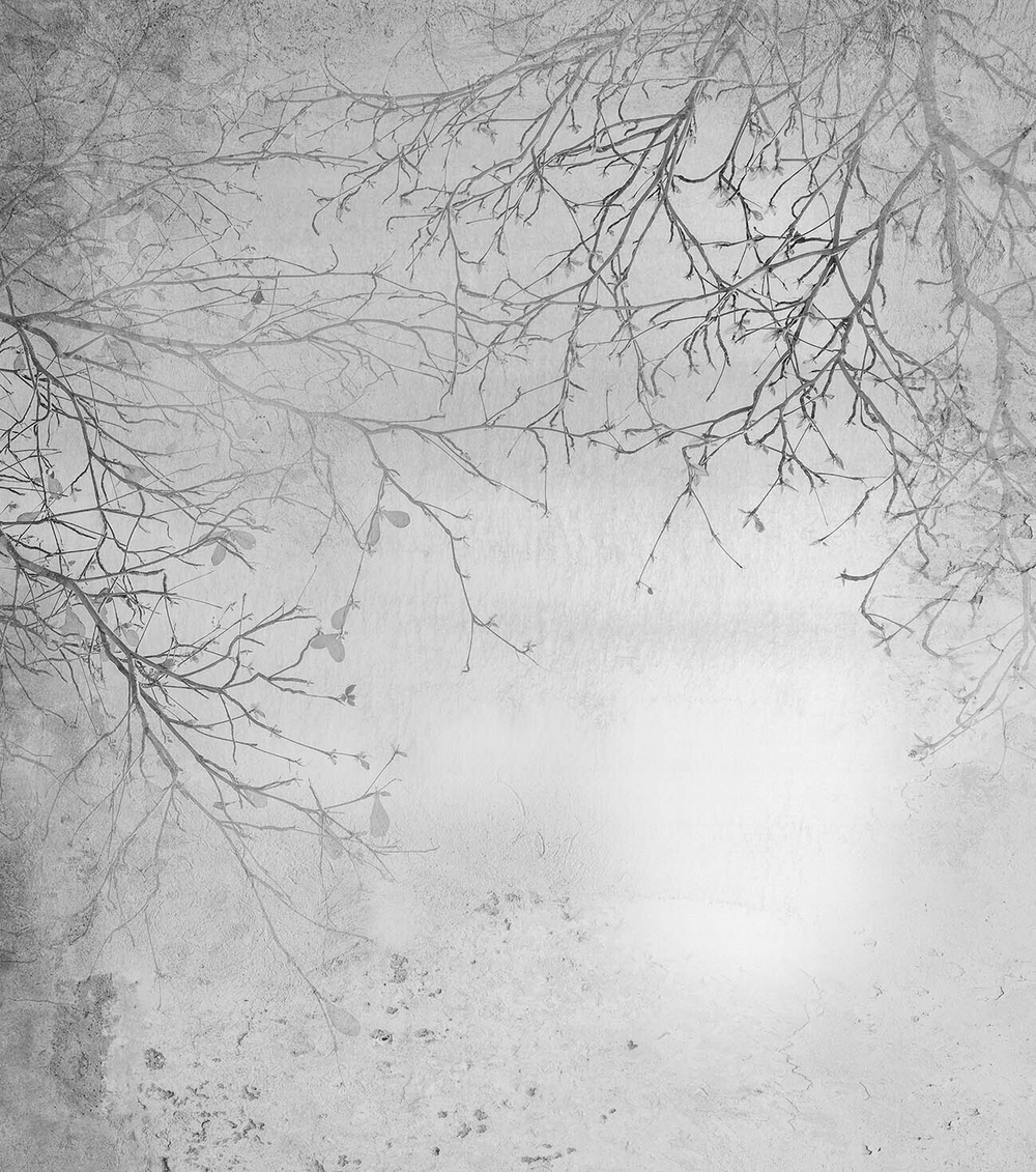 Обои с узором из линий 19501