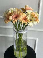 Гербера в кремовом оттенке от 25 шт