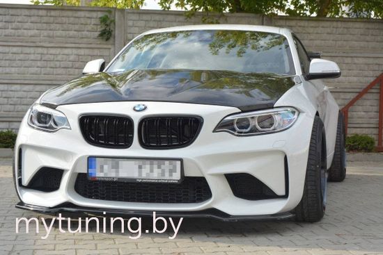 Сплиттер бампера переднего V.3 для BMW M2 F87 (16-...)