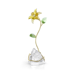 FLORERE:LILY