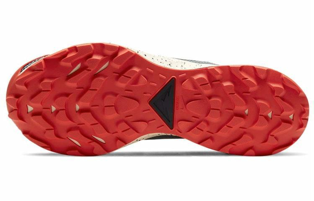 Кроссовки Nike Pegasus Trail 2 Gore-Tex