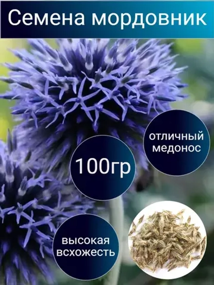 Семена мордовник сидераты 100 гр