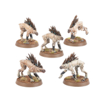 Kroot Hounds