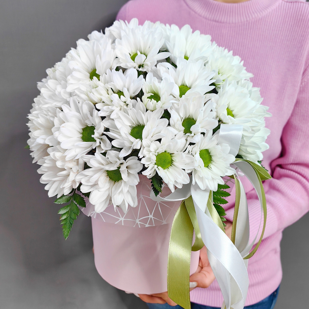 Шляпная коробка с кустовой хризантемой сорта "KENNEDY WHITE"