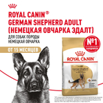 Royal Canin German Shepherd Корм сухой для взрослых собак породы Немецкая овчарка 3 кг