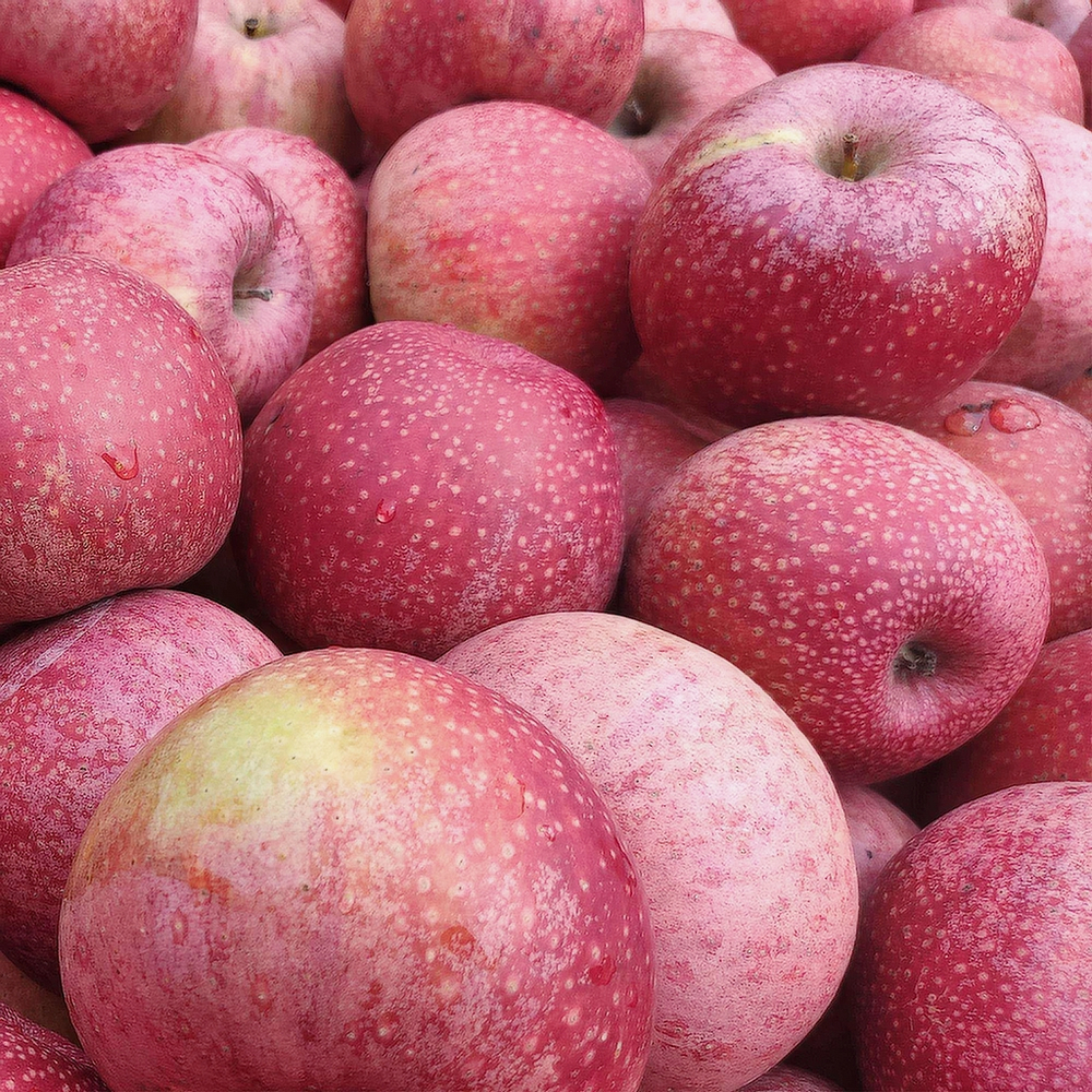 Яблоки ГАЛА (Вес)