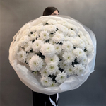 Моно букет из хризантемы "Алтай" L