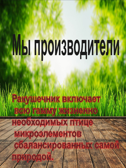 Ракушка морская кормовая для птиц