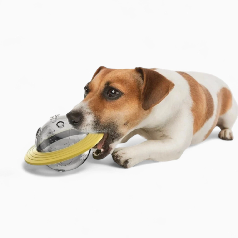 Игрушка кормушка «Planet Ball»