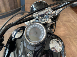 Softail Slim Harley-Davidson  2021 (Поставка)